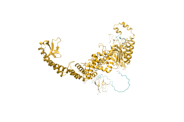 AF-C1FKL4-F1 image