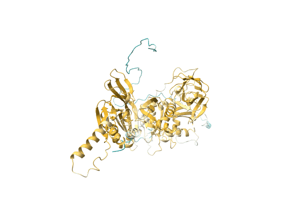 AF-C1N1Y2-F1 image