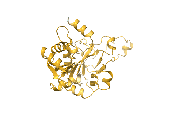 AF-C3JY27-F1 image