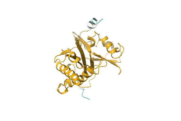 AF-C3MJ10-F1 image