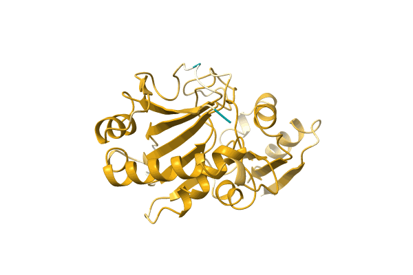 AF-C3MTR0-F1 image