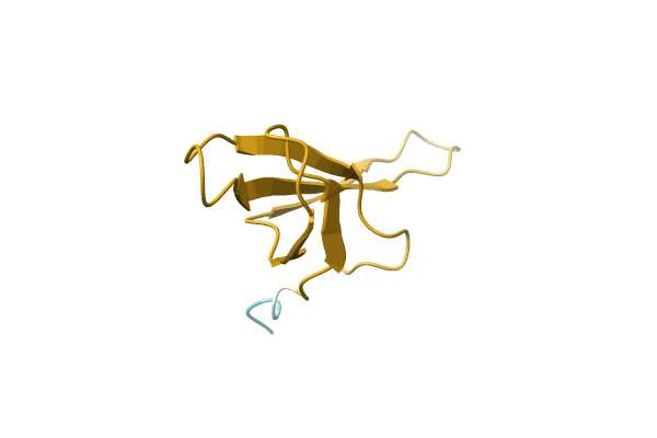AF-C4KGX2-F1 image