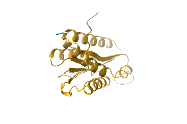 AF-C4Z8N0-F1 image