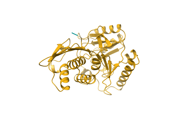 AF-C4ZPT0-F1 image