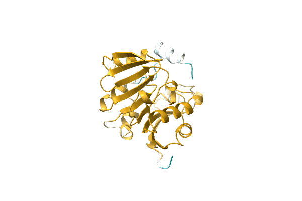 AF-C5BIS1-F1 image