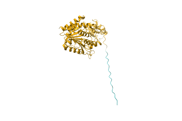 AF-C5FVN6-F1 image