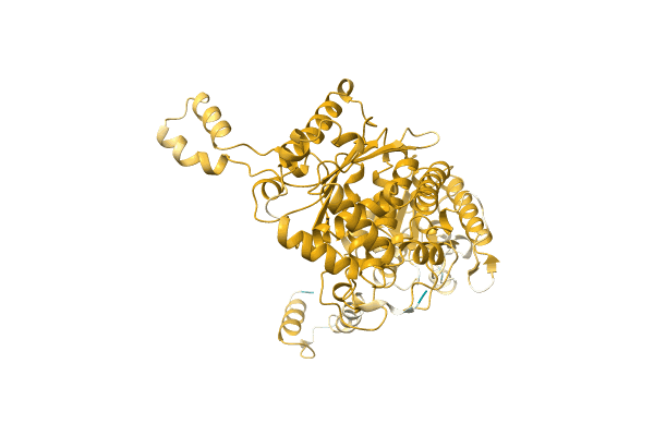 AF-C5I8Y0-F1 image