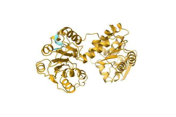 AF-C6A0Y7-F1 image