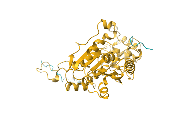 AF-C6A8W4-F1 image