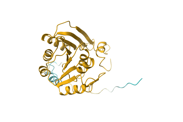 AF-C6UBI3-F1 image