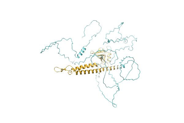 AF-C6UYL8-F1 image