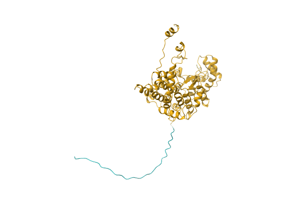 AF-C7C436-F1 image