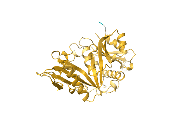 AF-C7MRC4-F1 image
