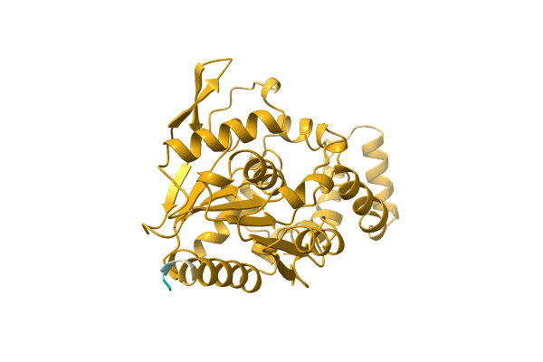 AF-C7PDD8-F1 image