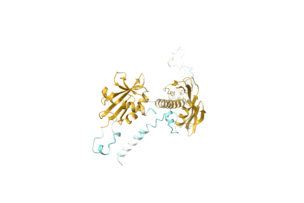 AF-C7RCP6-F1 image