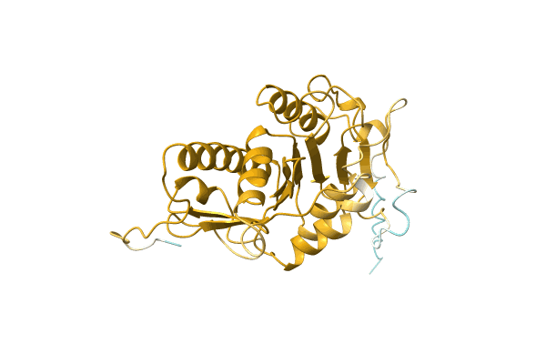 AF-C7YHA8-F1 image