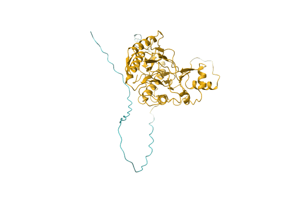 AF-C8Z3V4-F1 image