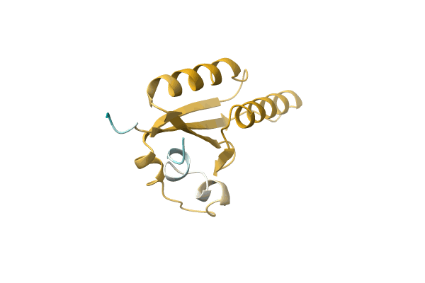 AF-C9X1G7-F1 image