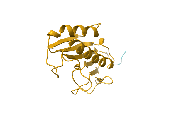 AF-C9Y0S5-F1 image
