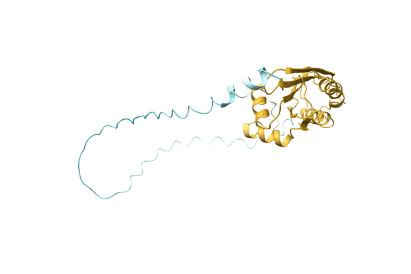 AF-C9Y1J4-F1 image