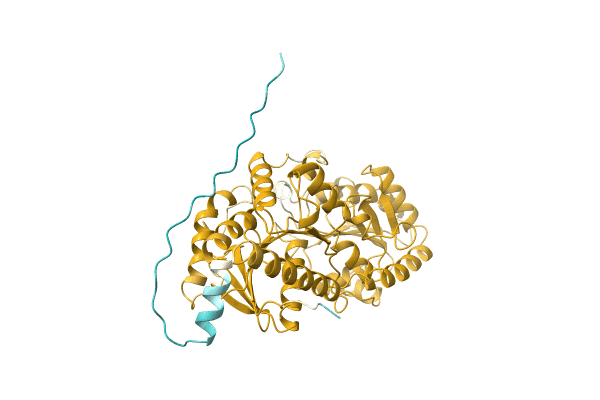 AF-D0L476-F1 image