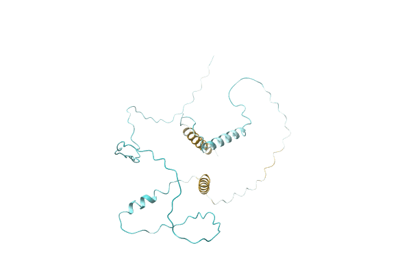 AF-D1FNK2-F1 image