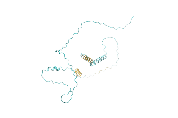 AF-D1FNK3-F1 image