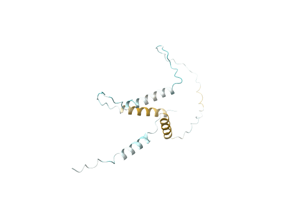 AF-D1FNK4-F1 image