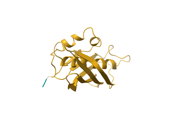 AF-D2TMN6-F1 image