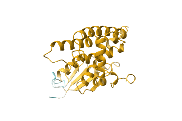 AF-D2YW48-F1 image