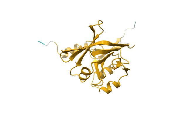 AF-D3QPK0-F1 image
