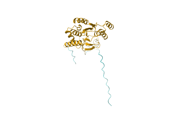 AF-D3RNJ4-F1 image