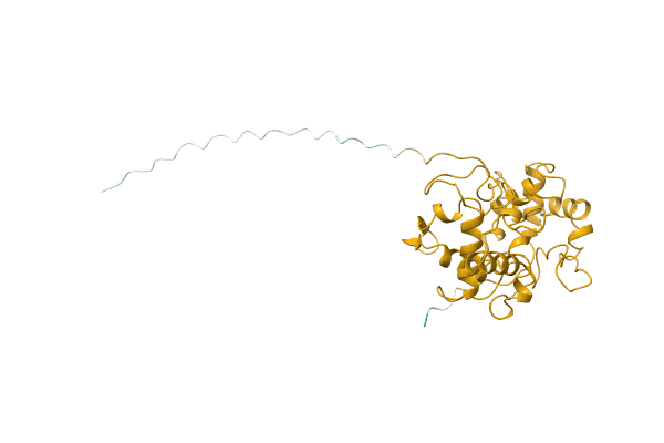 AF-D3RVD4-F1 image