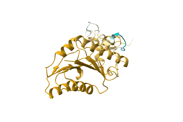 AF-D3SYZ8-F1 image