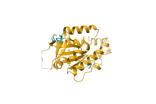 AF-D4GEU5-F1 image