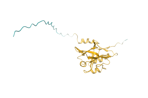 AF-D4GEU9-F1 image
