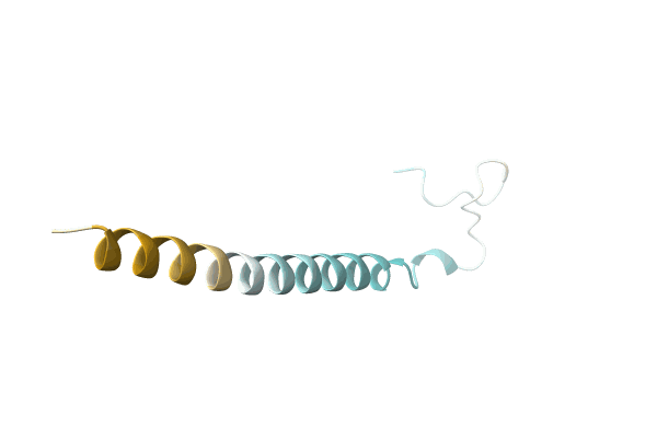 AF-D4HRK4-F1 image