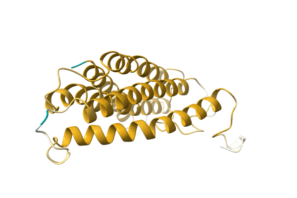 AF-D4NGY1-F1 image