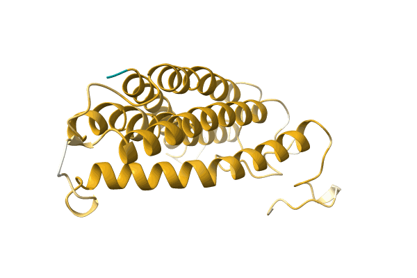 AF-D4NHN0-F1 image