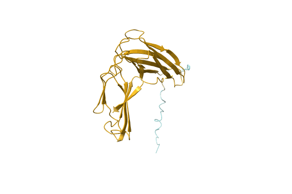 AF-D5CVJ9-F1 image
