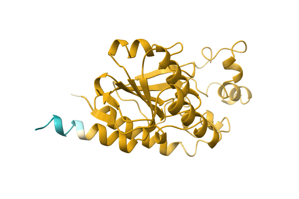 AF-D5CZH1-F1 image