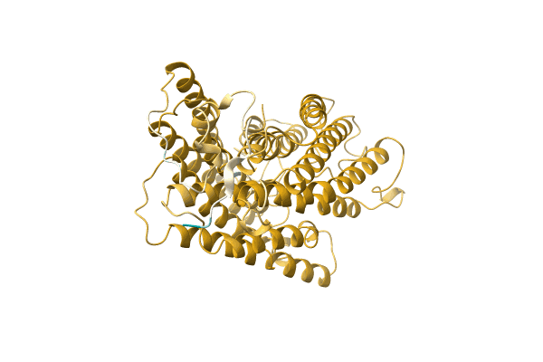 AF-D5GTL8-F1 image