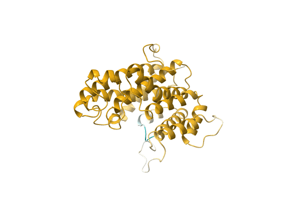 AF-D5KXJ0-F1 image