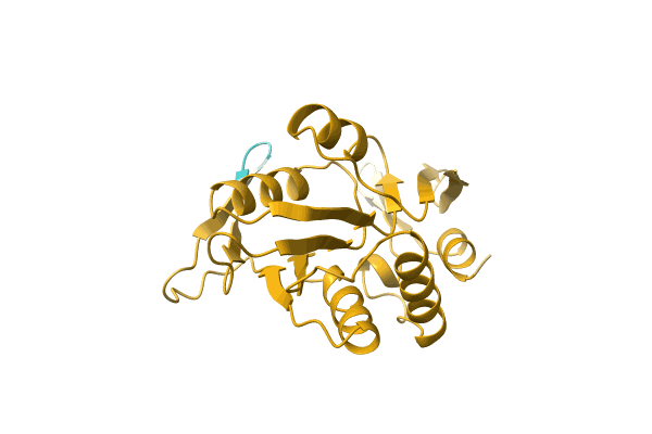 AF-D5VT38-F1 image