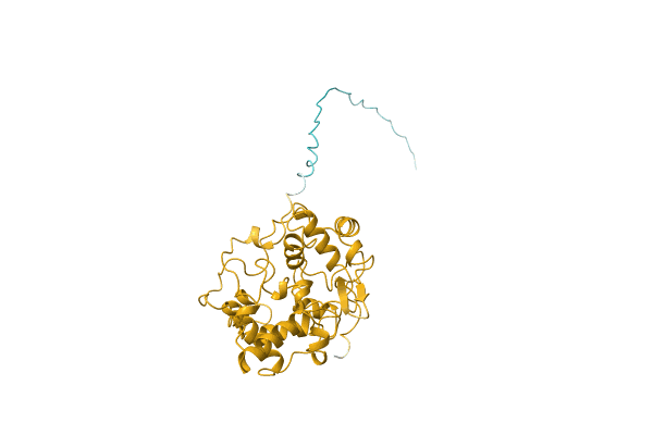AF-D5WYQ5-F1 image