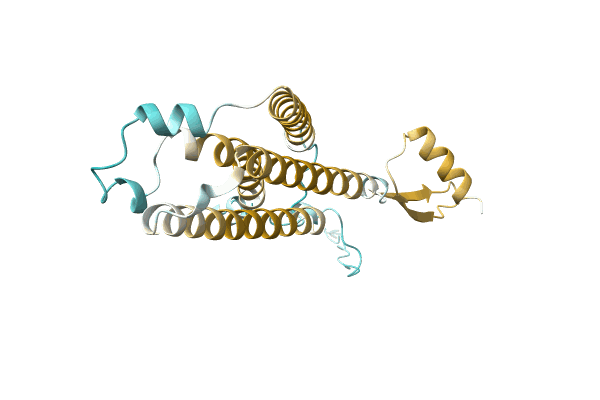 AF-D6NRR6-F1 image