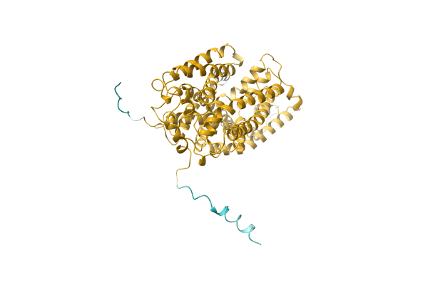AF-D6R8X8-F1 image