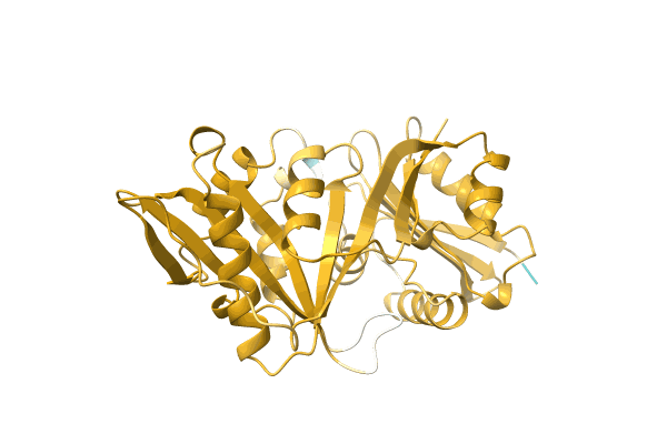 AF-D6Y4C5-F1 image