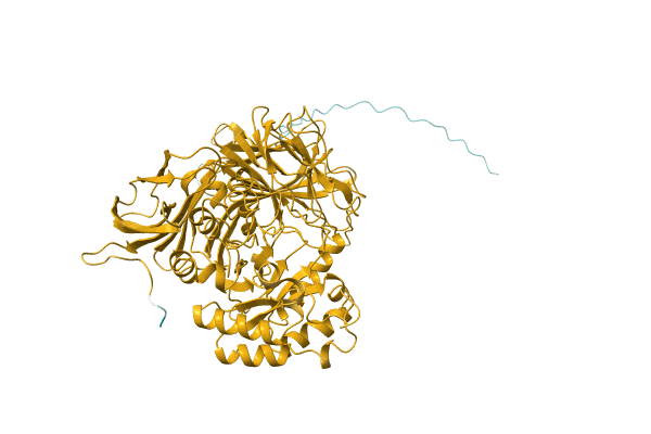 AF-D7CFN7-F1 image