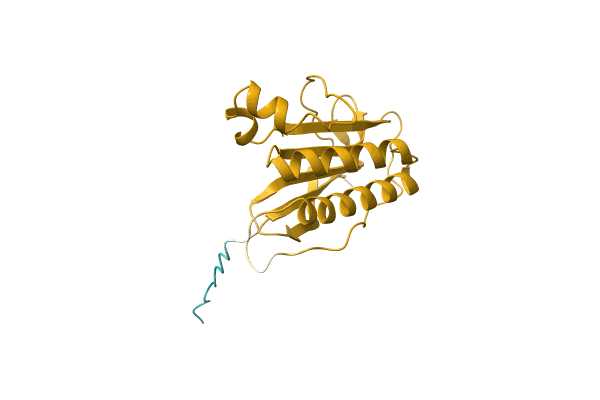 AF-D7Y2H3-F1 image